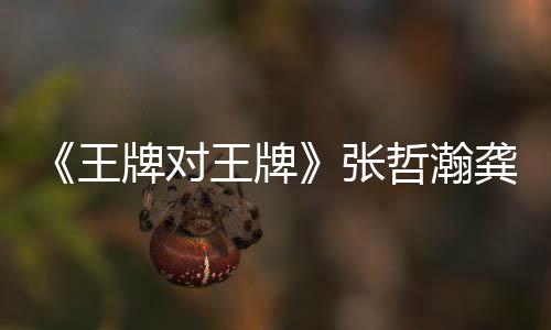 牌对牌对王第几王王牌王牌瀚龚一期张哲瀚在哪张哲俊龚俊期有