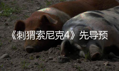 磅新空降猬索尼克预告重角色先导袭来刺强势