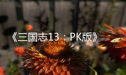 K版重智力国志攻略三复刷