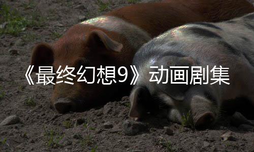 魔导认制动画剧最终幻作中集确 聚焦黑想9士