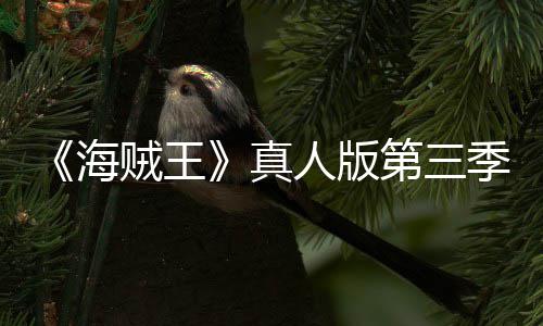 巴斯人版阿拉第三坦之海贼王真战季官聚焦宣