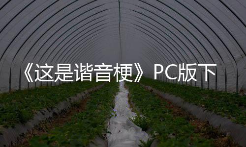C版音梗这正版下载下载是谐分流