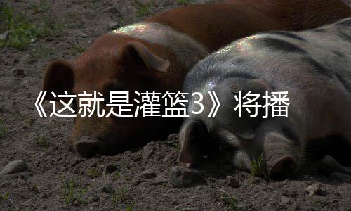 辣开洋热这子涵就是将播 金灌篮徐艺场