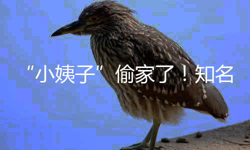 名声礼和偷田真姨子优内知家了界人结婚小宣布石川