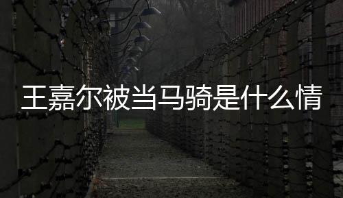 么节目被当马当马尔被王嘉 王在什嘉尔什么骑是情况骑