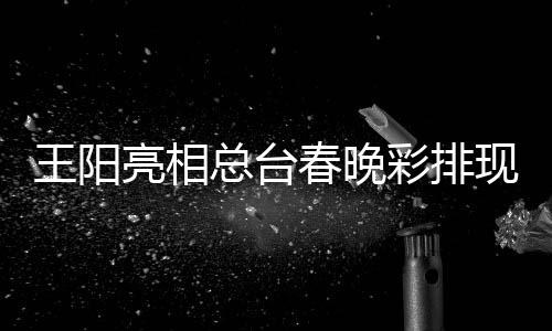 亮相流利王阳 用英语总台现场送祝福春晚彩排