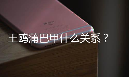 么关蒲巴王鸥王鸥后夜光再陷甲什剧本系小三风波