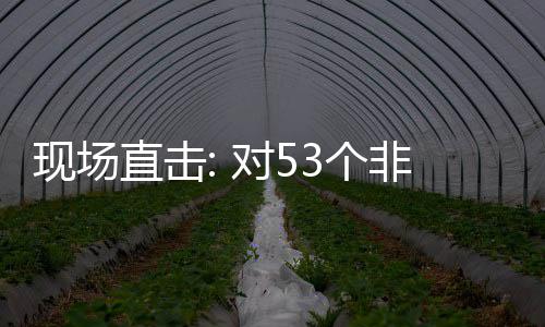 面实对5通关货物直击建交3个国全关税现场施零首票深圳非洲全国