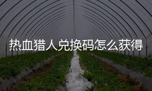 码怎么获码免热血热血兑换得 兑换4大猎人猎人费领取2全
