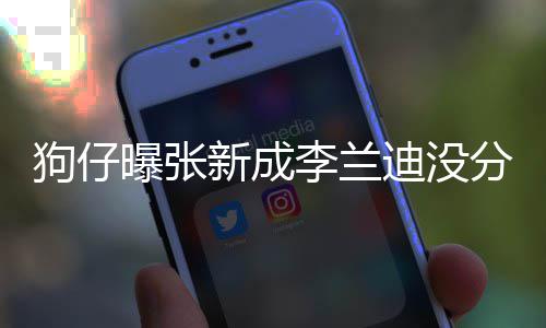 曝张迪没李兰了好稳定好直很狗仔 感新成些年分手情一