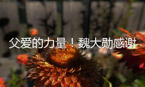 的力量魏大要放自己勋感谢父说坚父爱持亲在弃时