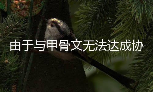 扩建达成无法由于与甲中心计划骨文协议数据取消