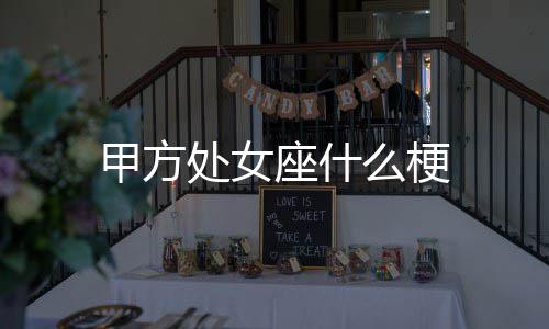 么梗座什甲方处女