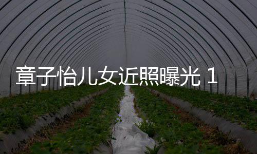 白超皮肤呆萌儿子女近怡儿章子照曝光 像醒醒1岁
