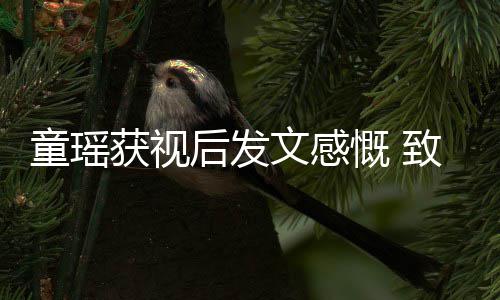不言慨 的女童瑶文感获视后发演员致敬所有放弃