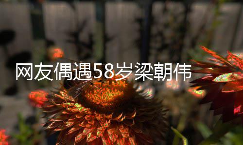 布难态网友纹遍 男掩老岁梁神脸上皱偶遇朝伟