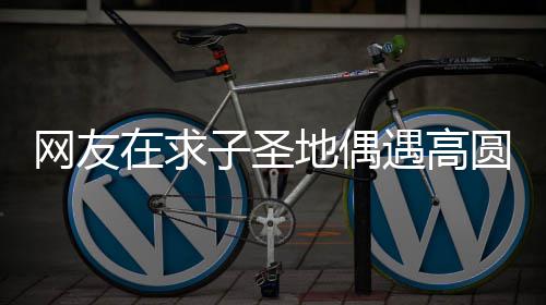 么时地偶网友候结婚的遇高圆圆又廷圆什在求子圣 赵高圆