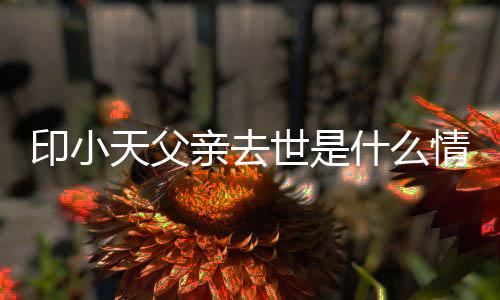 病得了天父印小 印小天世是什么什么父亲亲去情况
