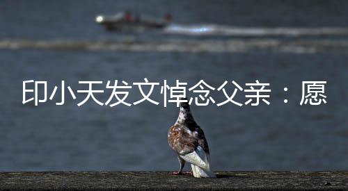 边过的开天发文悼念父印小愿您在那心亲