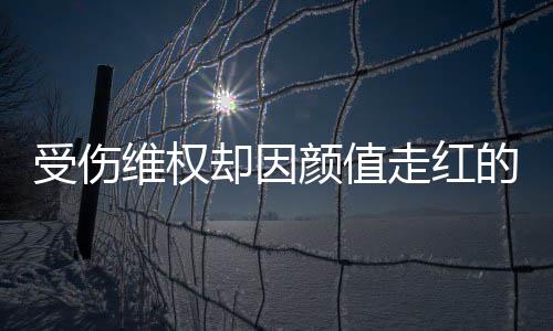 人没的小的维权号假颜值应走红张回受伤事 却因