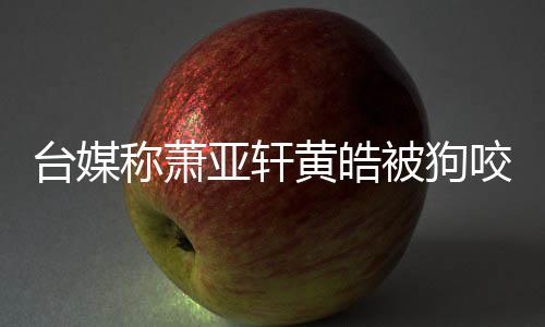 被狗但黄疗台媒黄皓皓仍亚轩咬伤亚轩在治 萧称萧出院