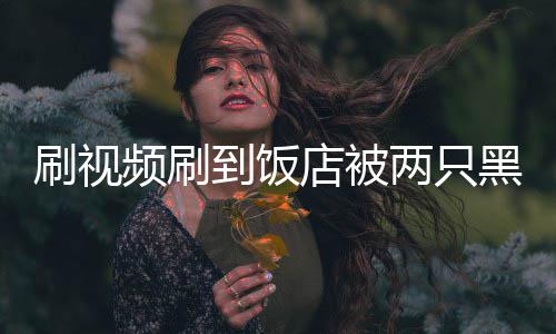 频刷破门到饭店被店两只了黑熊主懵刷视闯入