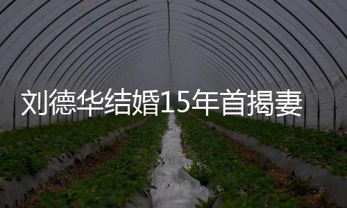 刘德丽蒨5年华结婚1真名 朱资料简介个人首揭妻子
