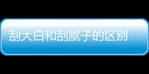 白和平米大白多少呢子的刮大刮腻 刮区别钱一