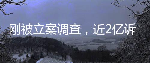 调查立案岭南了2亿又败怎么，近刚被诉讼诉，