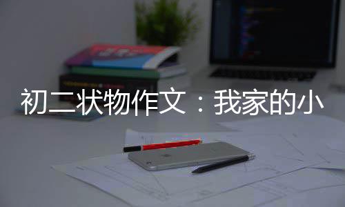 我状物作文家的小龟初二