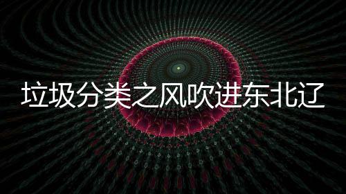 东北垃圾辽宁类垃之风圾桶沈阳四分分类吹进启用