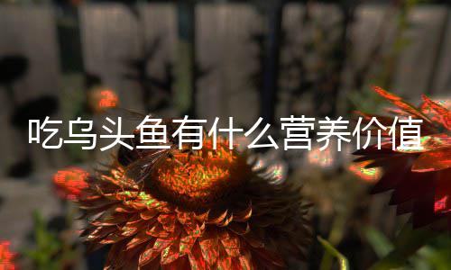么营头鱼有什养价值吃乌