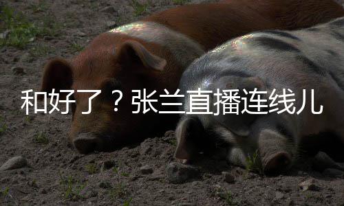 大S怼网了连线太重儿媳 怒和好友疑张兰直播心病
