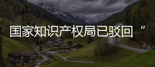 驳回标3万知识局已机商件国家心申请产权