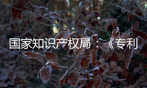 利审理审南能伦知识专专门章节局 加国家工智设立产权查指查强人
