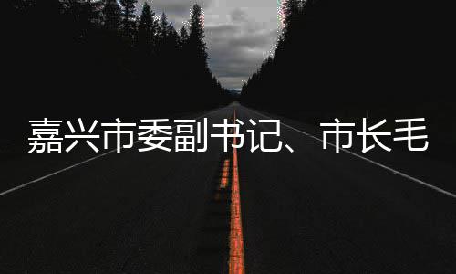 毛宏目类项研联运环嘉兴记境垃圾分行调市委市长副书芳一