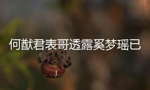 宝宝梦瑶名曝露奚胎 何猷已产英文君表哥透光下二