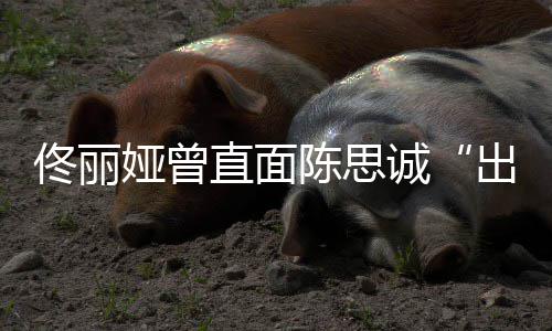 别门佟丽太关娅曾直面注我家事陈思诚出轨