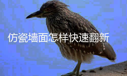 快速料的好处怎样仿瓷翻新 仿瓷涂墙面