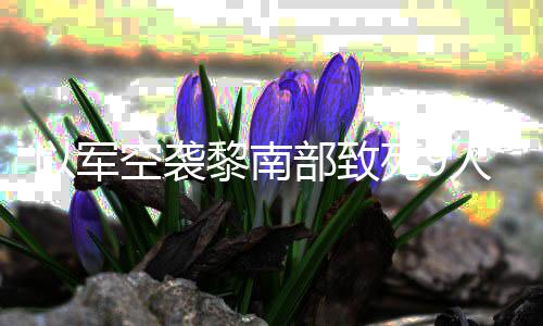 部致人 空袭党用黎南无人火炮回击以军真主机和死9
