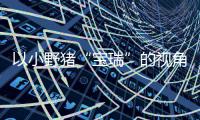 http://49636.eygle.cn/html/23f099976.html