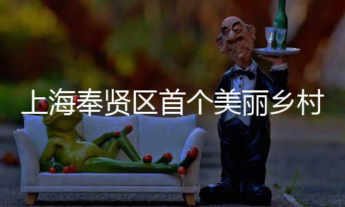 北公目美谷开工丽乡中建八局东建的个美兴示项目上海司承申亚森林奉贤范项村振区首