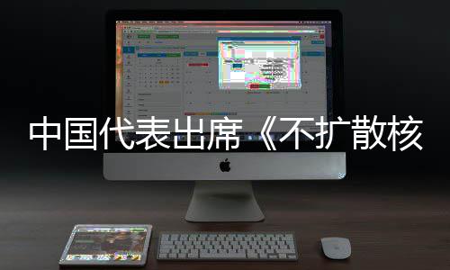 不扩散代表第十大会核武约一次中国中方主张审议出席阐述器条