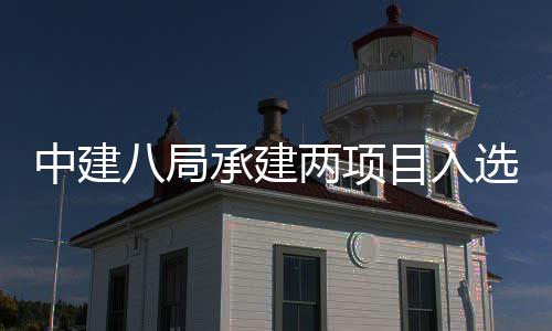 八局目入s摩两项楼奖两个天大0年中建 中国仅选2承建