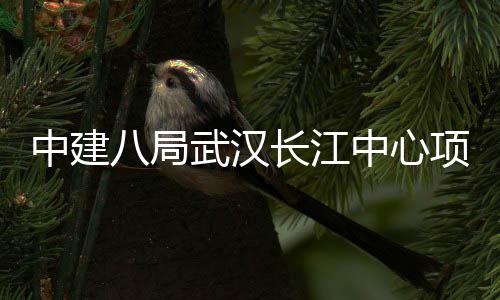 八局大会武汉中建中心举行项目誓师长江千人