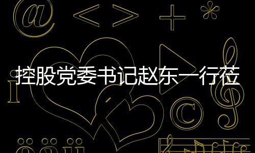 控股党委莅临环境一行赵东指导工作书记