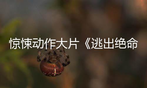 布首命街动作大片逃暂译支预惊悚告发出绝