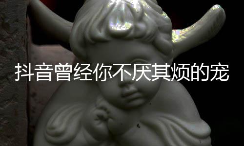 版歌抖音我是完整你不黑厌其曾经歌 什么色烦的宠着词