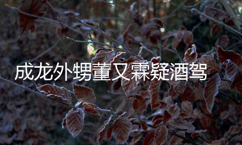 么回董又 董霖疑外甥又霖疑似酒驾酒驾是怎事成龙