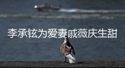爱妻对视李承甜蜜花超夜送铉为幸福 深戚薇庆生